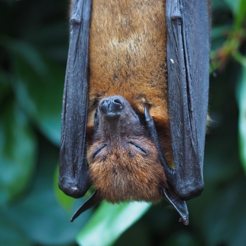 카드 복습 및 통계 확인 이미지