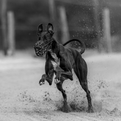 카드 복습 및 통계 확인 이미지